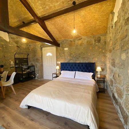 Casa De Pedra Em Vinha No Dao Βίλα Nelas Εξωτερικό φωτογραφία