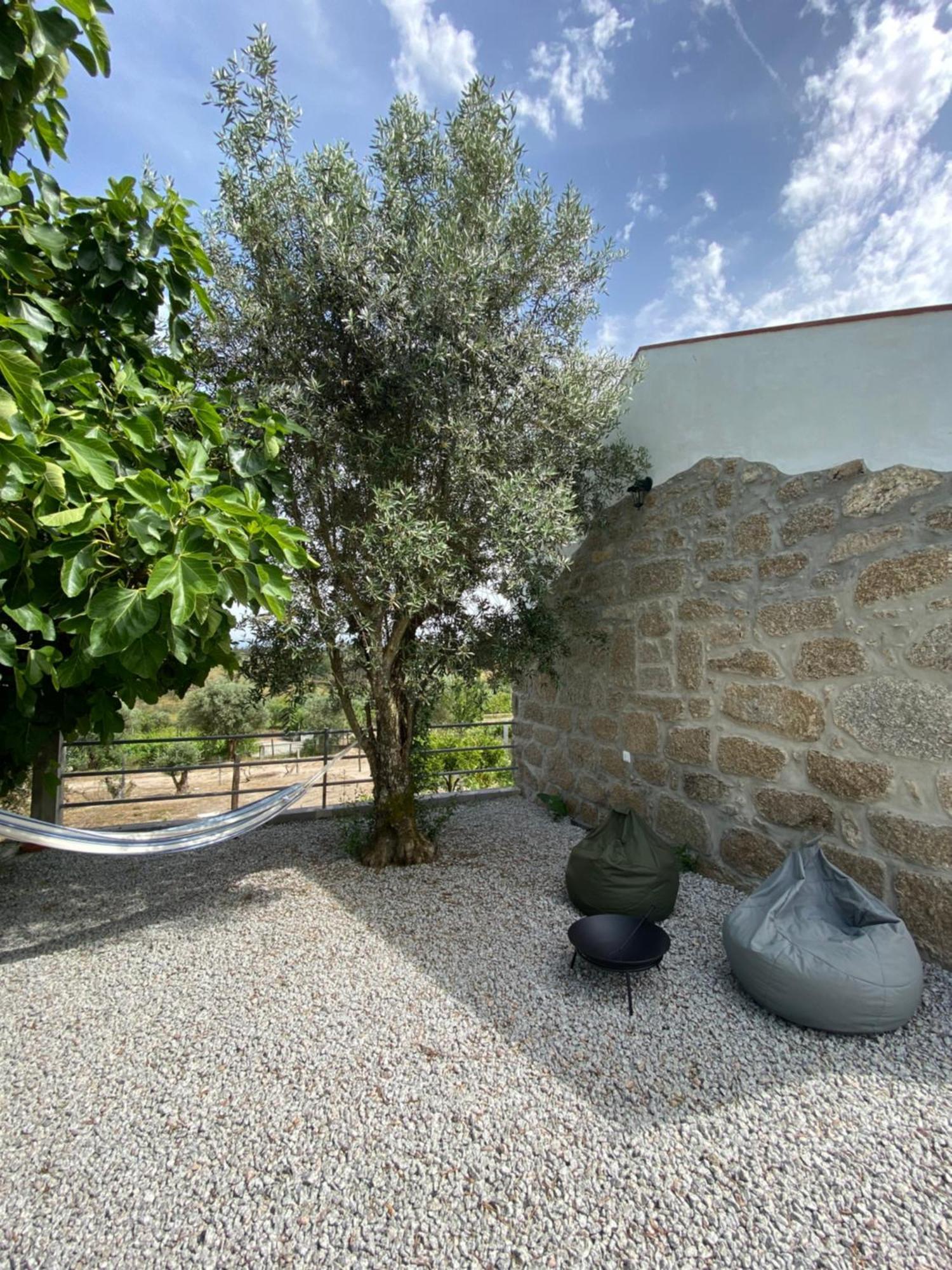 Casa De Pedra Em Vinha No Dao Βίλα Nelas Εξωτερικό φωτογραφία